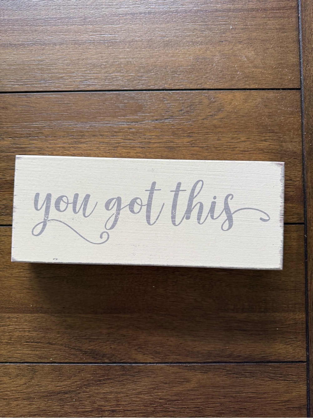 You Got This Decorative Wood Sign - Neutral Script